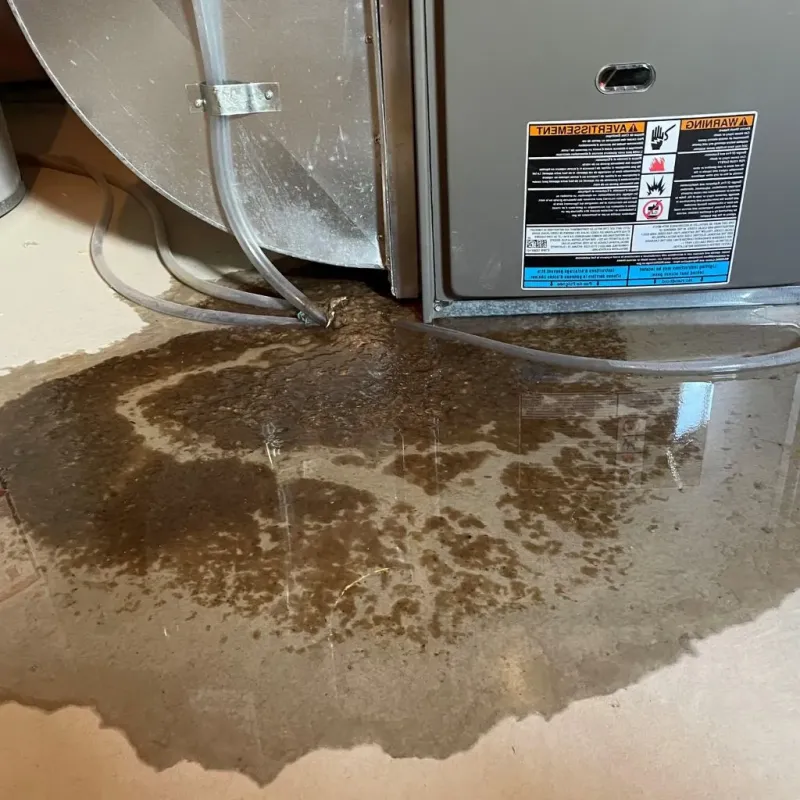 Pipe Burst and Leak Restoration in Winchester, IN